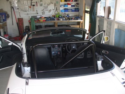 Roll cage black 001.JPG