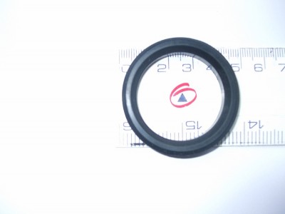 seal 001.JPG