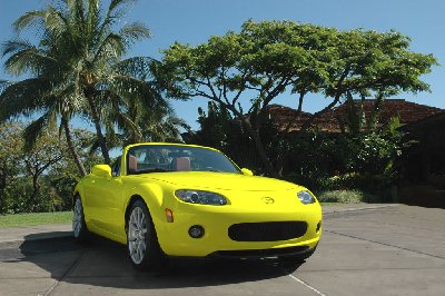 yellowtopdown.jpg