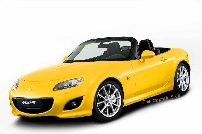2009 yellow 02s.jpg